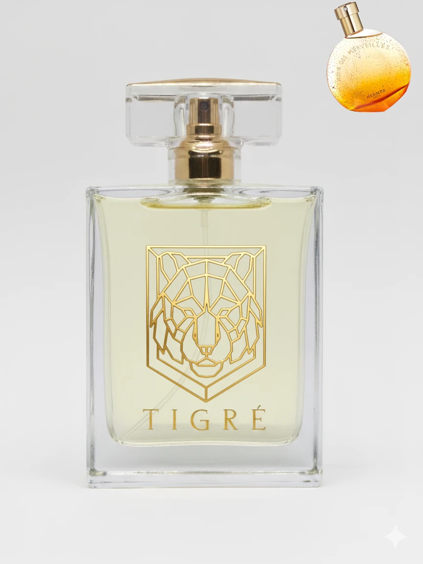 Elixir des Merveilles