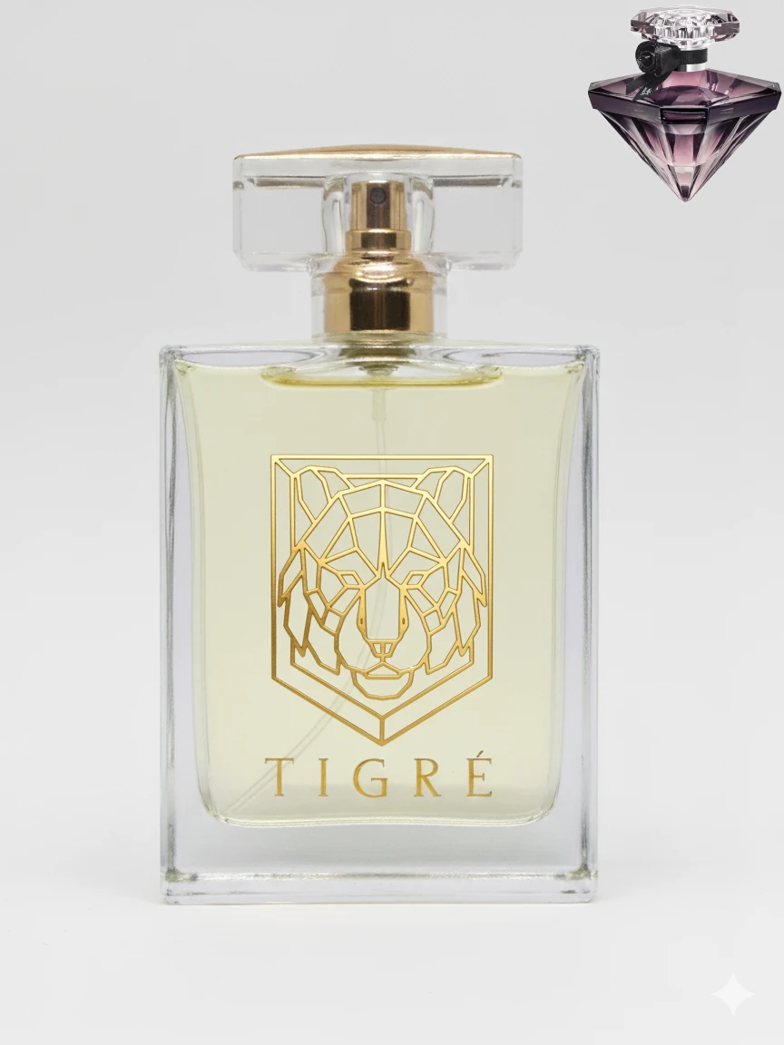 La Nuit Tresor